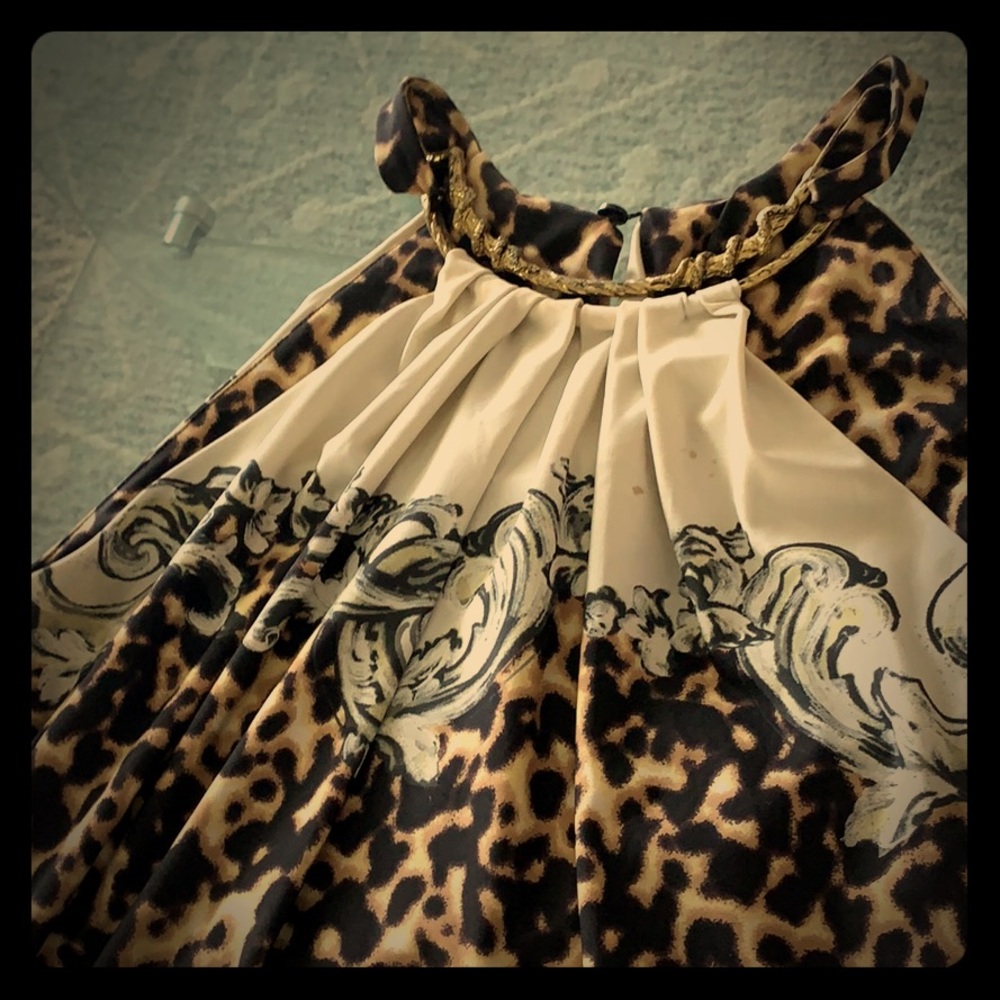 Roberto Cavalier Dress